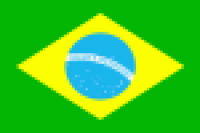 Flagge 30 x 45 cm BRASILIEN