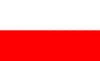 Flagge 20 x 30 cm POLEN SB-Pack