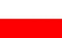 Flagge 20 x 30 cm POLEN SB-Pack