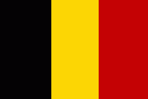 Flagge 20 x 30 cm BELGIEN SB-Pack