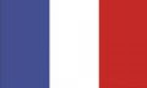Flagge 20 x 30 cm FRANKREICH SB-Pack