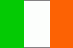 Flagge 40 x 60 cm IRLAND