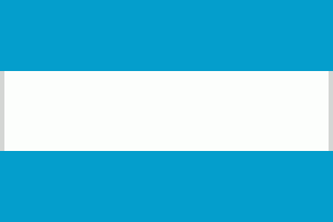 Flagge 20 x 30 cm ARGENTINIEN