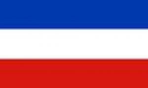 Flagge 120 x 180 cm SCHLESWIG-HOLSTEIN